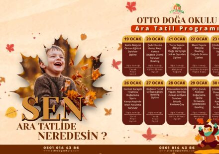 arar tatil kampı detayları